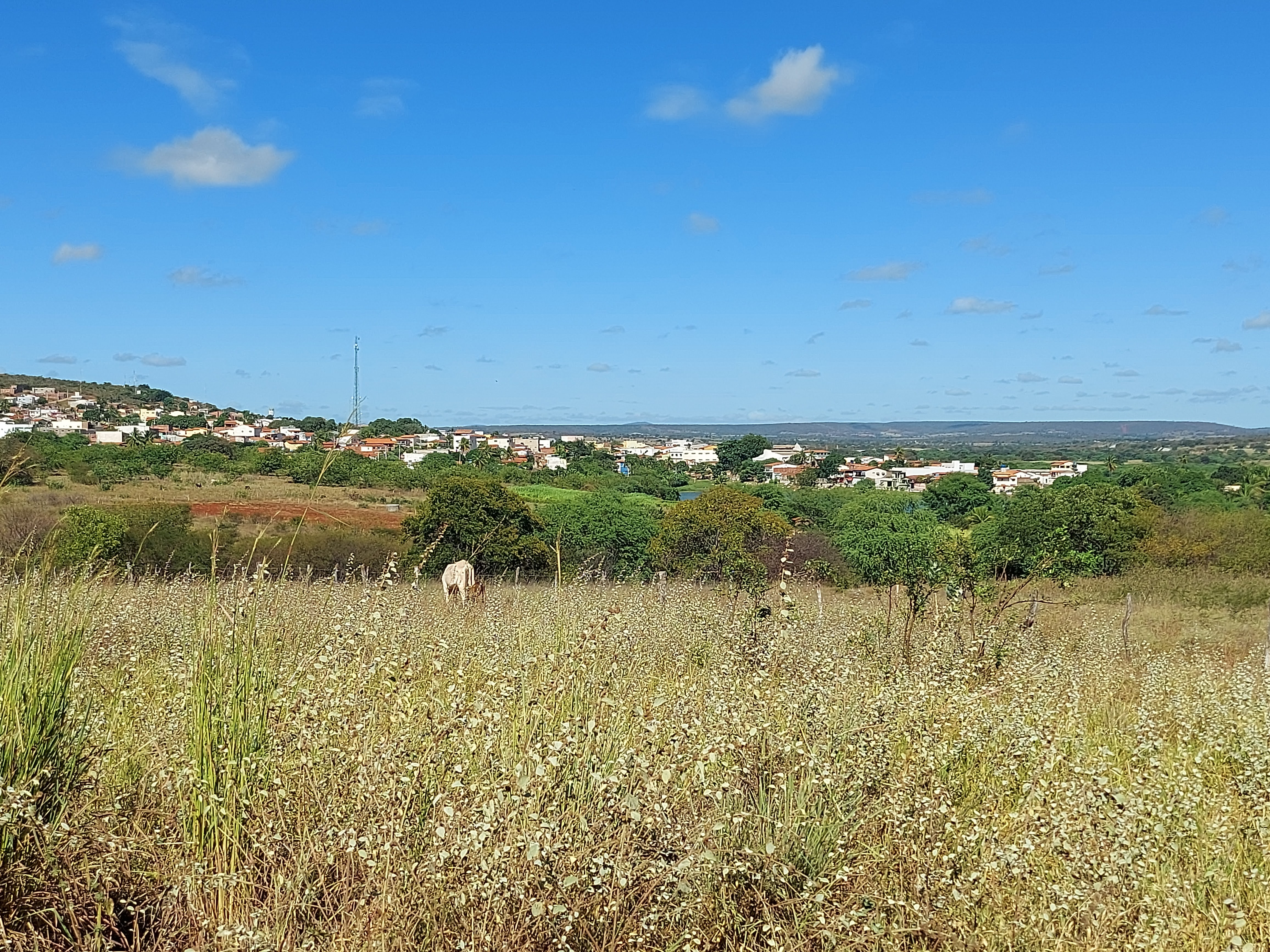 Sertão 6